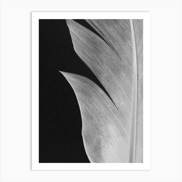 2191106 Art Print by 1x