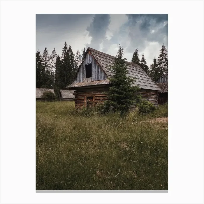 Abandoned Log Cabin Canvas Print by Western Range