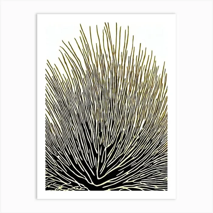 Acropora Gemmifera V Linocut Art Print by Reef Reflections
