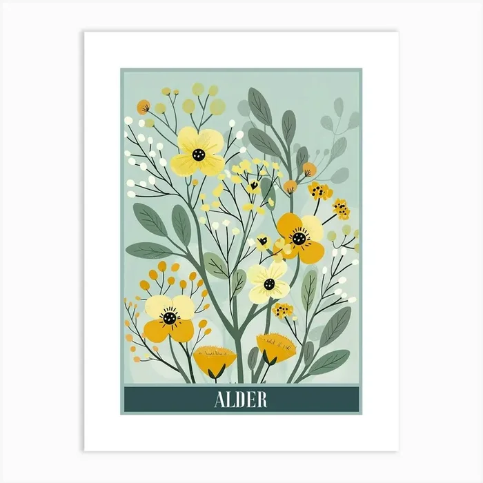 Alder Tree Flat Illustration 3 Poster Art Print by Bough And Bloom Artistry