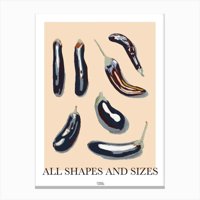 All Shapes And Sizes Canvas Print by Studio Carper