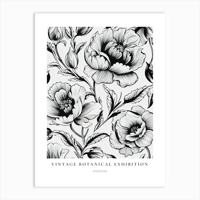 Anemone 2 B&W Vintage Botanical Poster Art Print by Botanic Studio