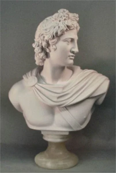 Apollo Belvedere Bust 22 “high