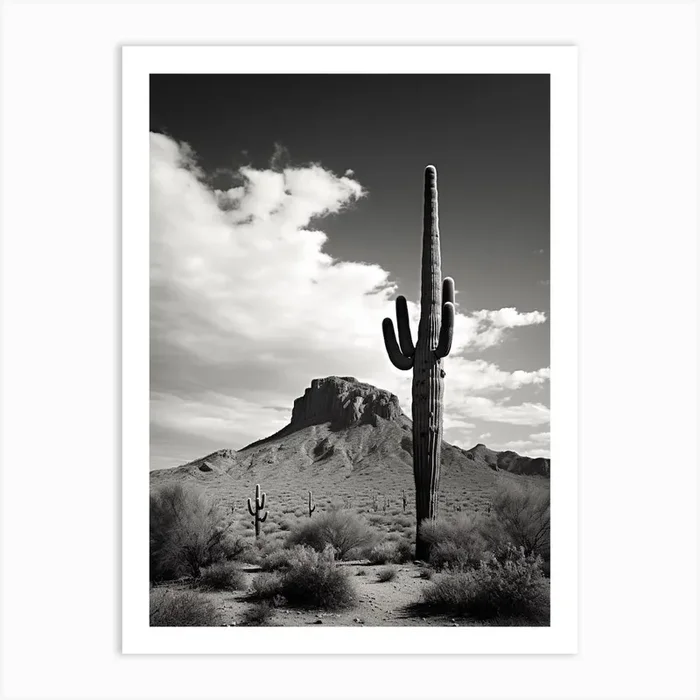 Arizona, Usa, Black And White Analogue Photograph 4 Art Print by Monochrome Vistas
