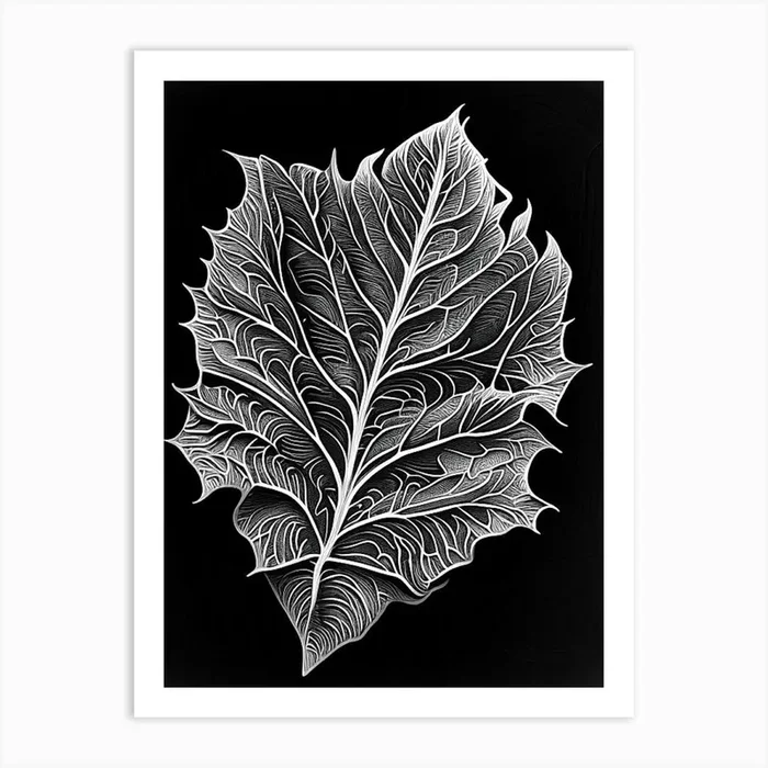 Bael Leaf Linocut 2 Art PrintL& by Leaf & Stem Studio