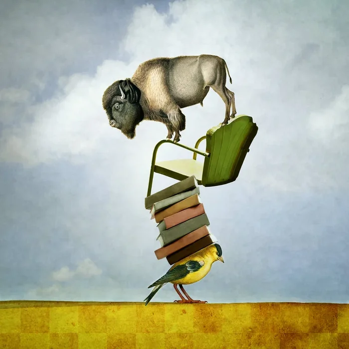 BalancingBison – Medium