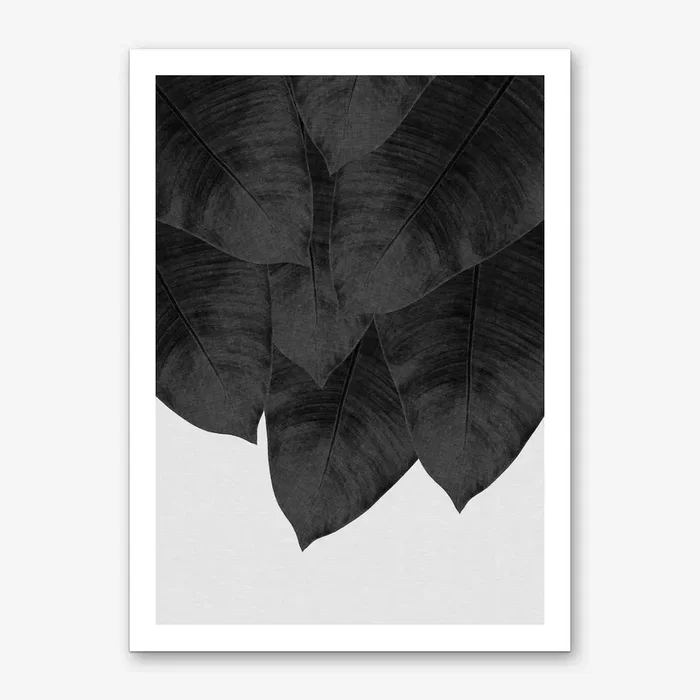 Banana Leaf Black & White II Art Print by Orara Studio