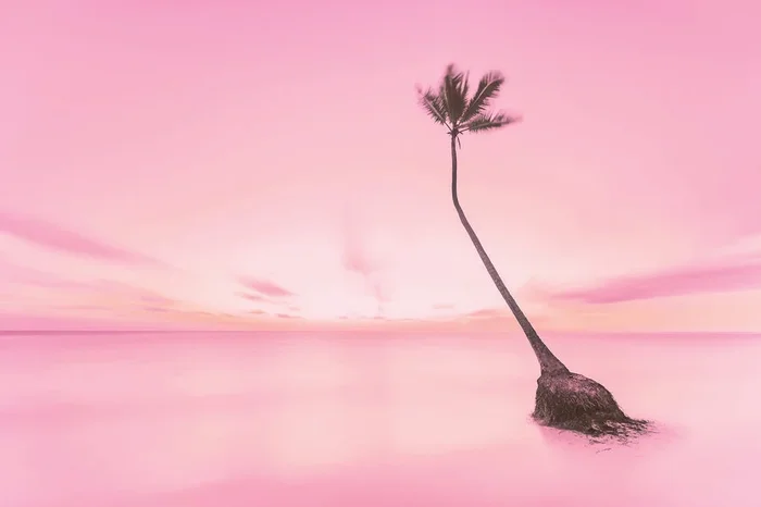 Bavaro Dreams – Medium
