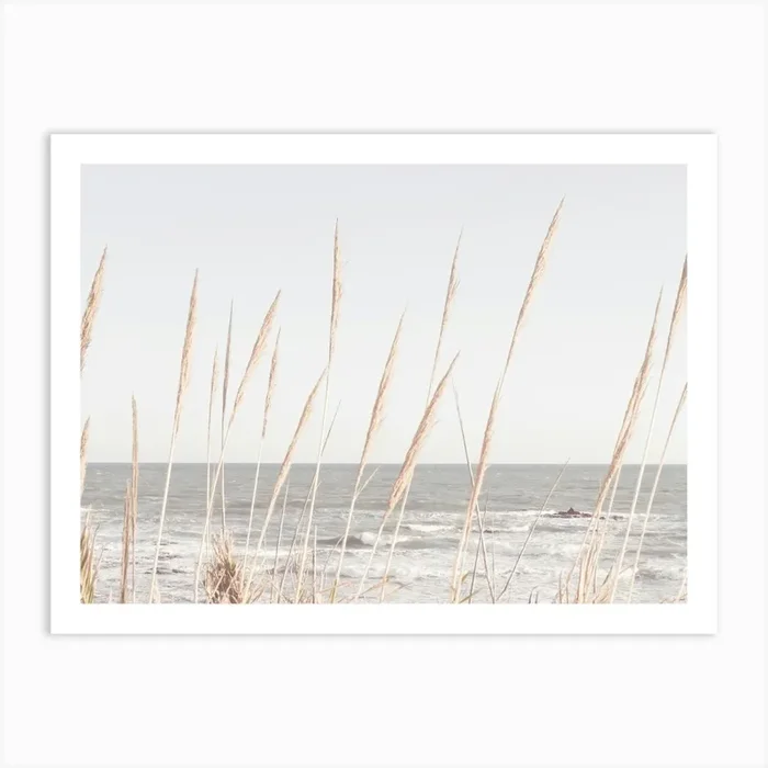 Beach Reeds_2192487 Art Print by 1x