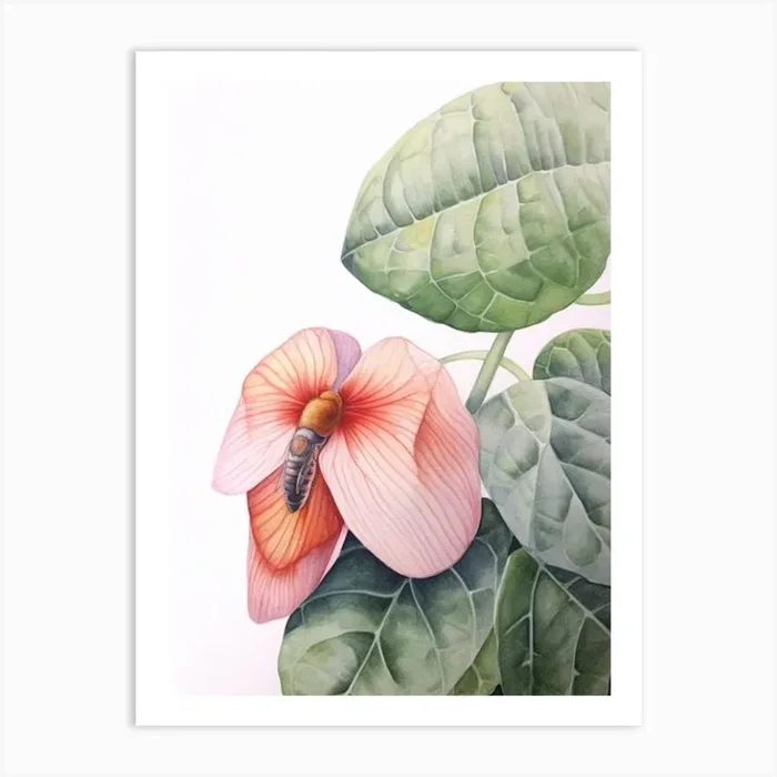 Beehive With Anthurium Flower Watercolour Illustration 3 Art Print by Flora Expressions
