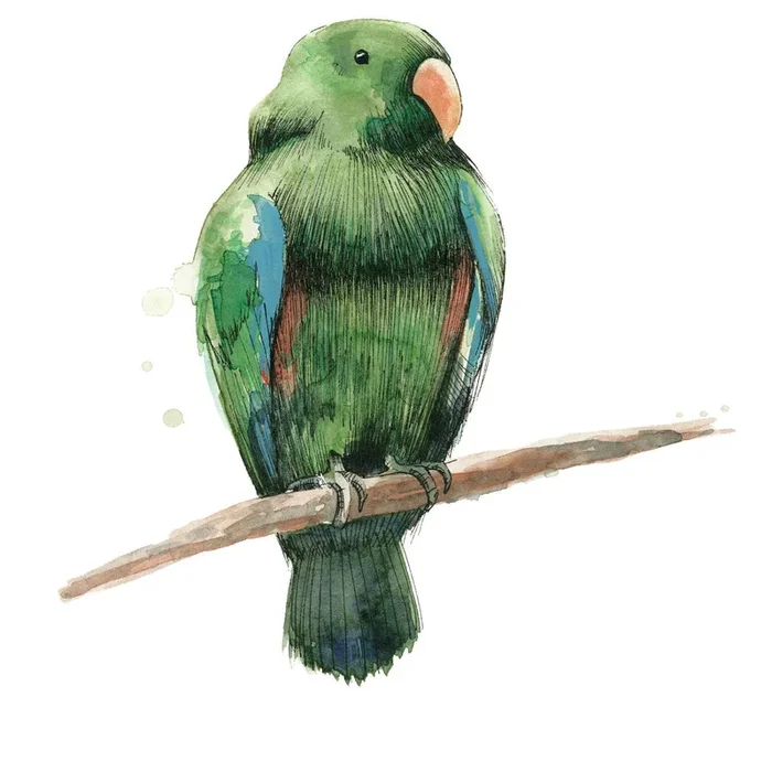 Bird 3
