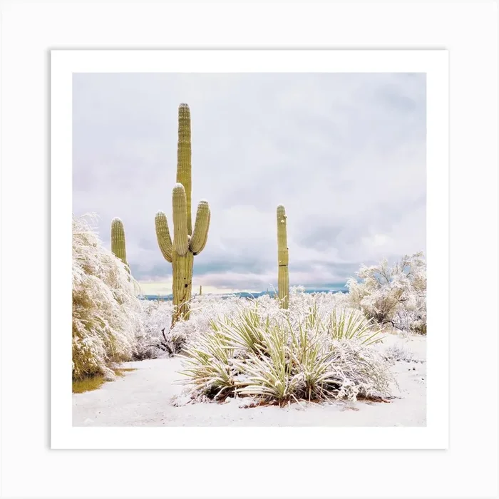 Blanket Of Snow In Desert Art PrintGS by Golden Saguaro
