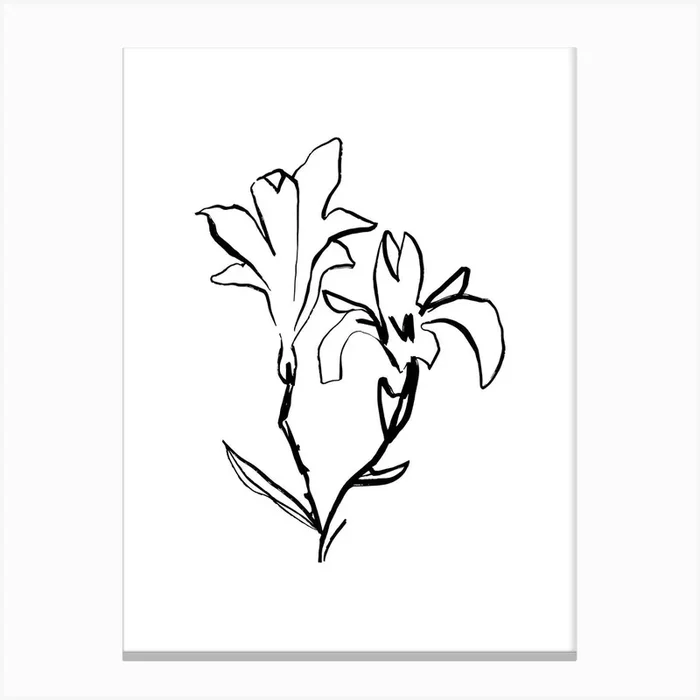 Blossom Canvas Print by Love, Mezay