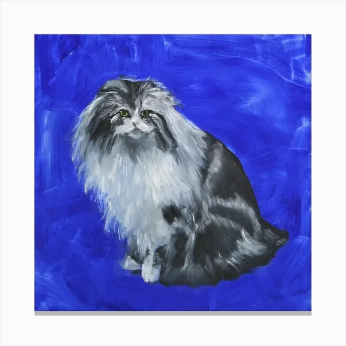 Blue Cat Square Canvas Print by Justine Skahan