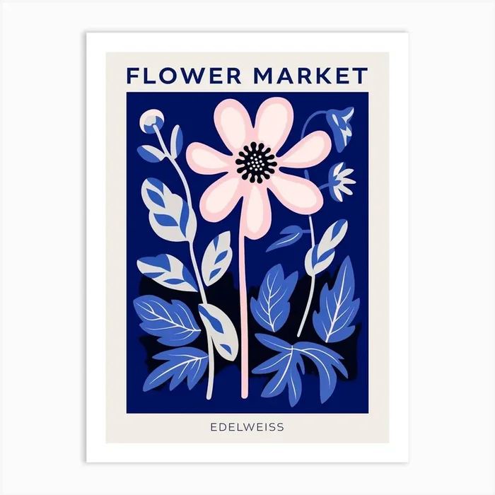 Blue Flower Market Poster Edelweiss 2 Art Print by Botanic Studio