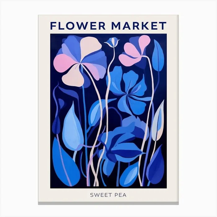 Blue Flower Market Poster Sweet Pea 3 Canvas Print by Botanic Studio