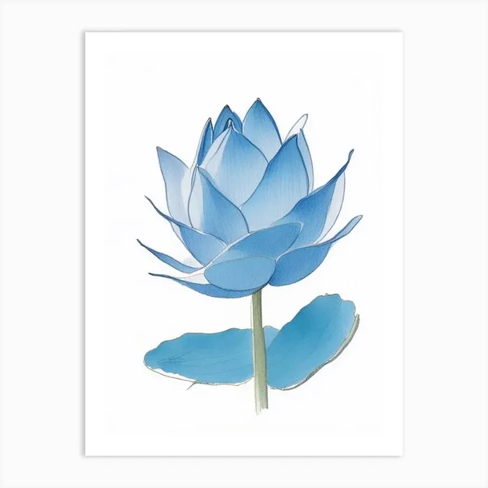 Blue Lotus Pencil Illustration 6 Art Print by The Artsy Florist