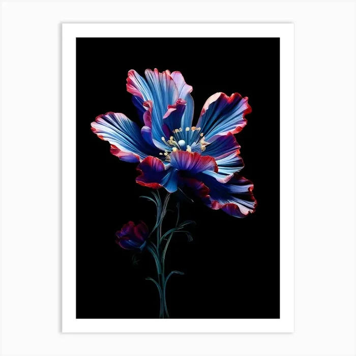 Blue Poppy Flower Art Print by Art shop