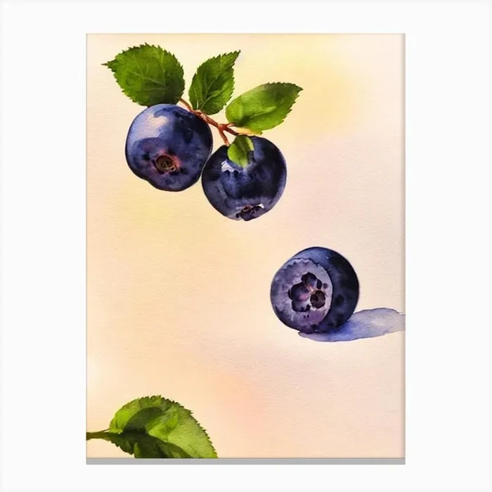 Blueberry Italian Watercolour fruit Canvas Print by The Fruitery