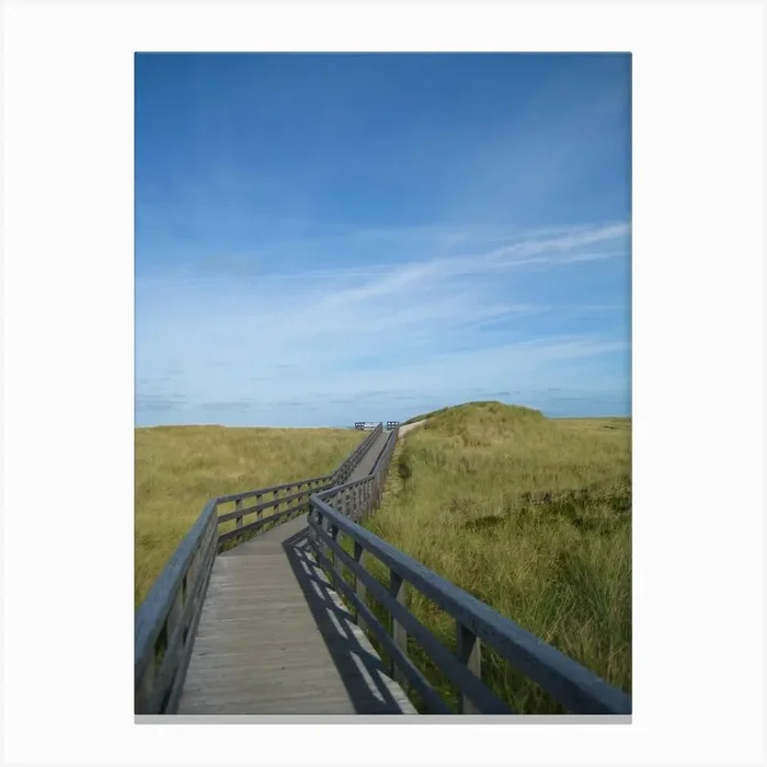 Boardwalk To The Beach Canvas Print by Theo’s Picture Factory