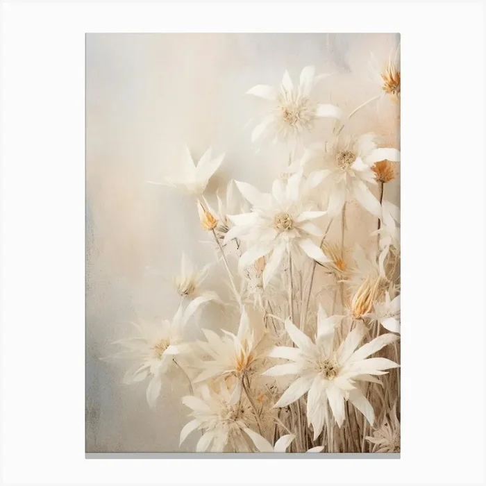 Boho Dried Flowers Edelweiss 2 Canvas Print by Botanic Studio