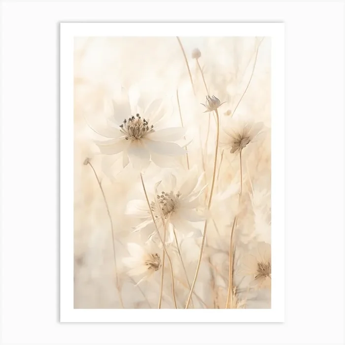 Boho Dried Flowers Love In A Mist Nigella 6 Art Print by Botanic Studio