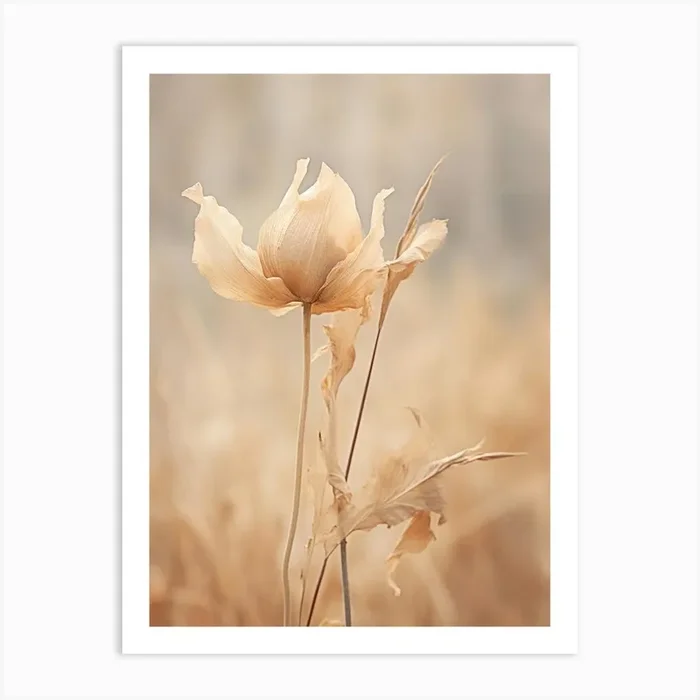 Boho Dried Flowers Tulip 3 Art Print by Botanic Studio