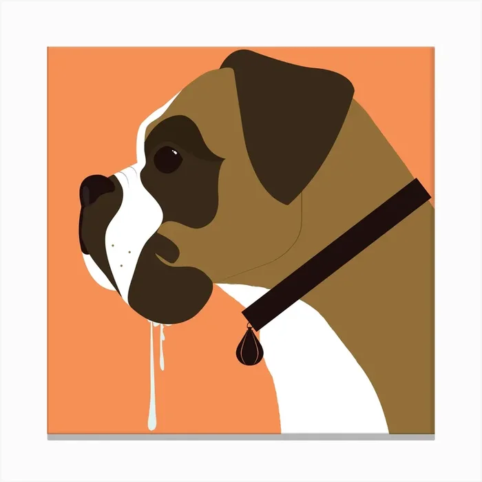 Boxer Dog Square Canvas Print by Matt Needle