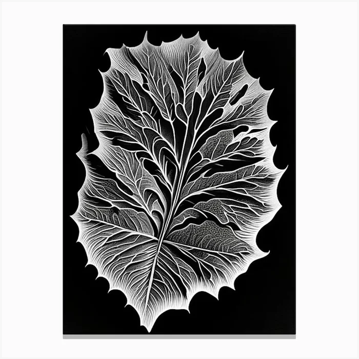 Burdock Leaf Linocut 2 Canvas PrintL& by Leaf & Stem Studio