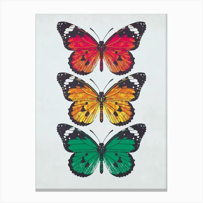 Butterflies 1 Canvas Print by HAMJAM