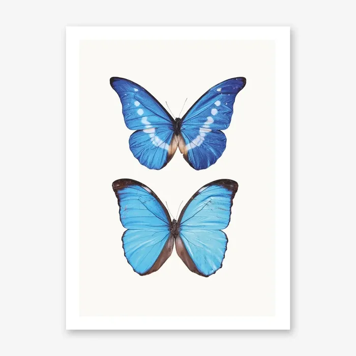 Butterflies V Art Print by Mariëlle Leenders
