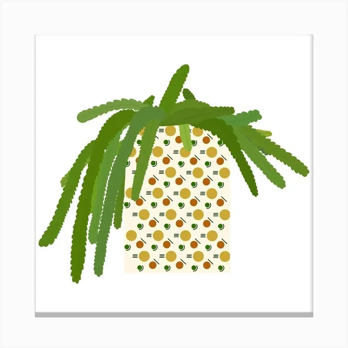 Cactus Canvas Print by Qubes