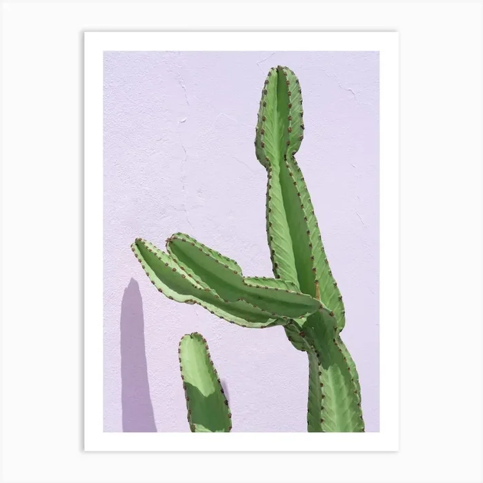 Cactus On Pink Pastel Textured Wall Art PrintJB by Jenine Blanchemanche
