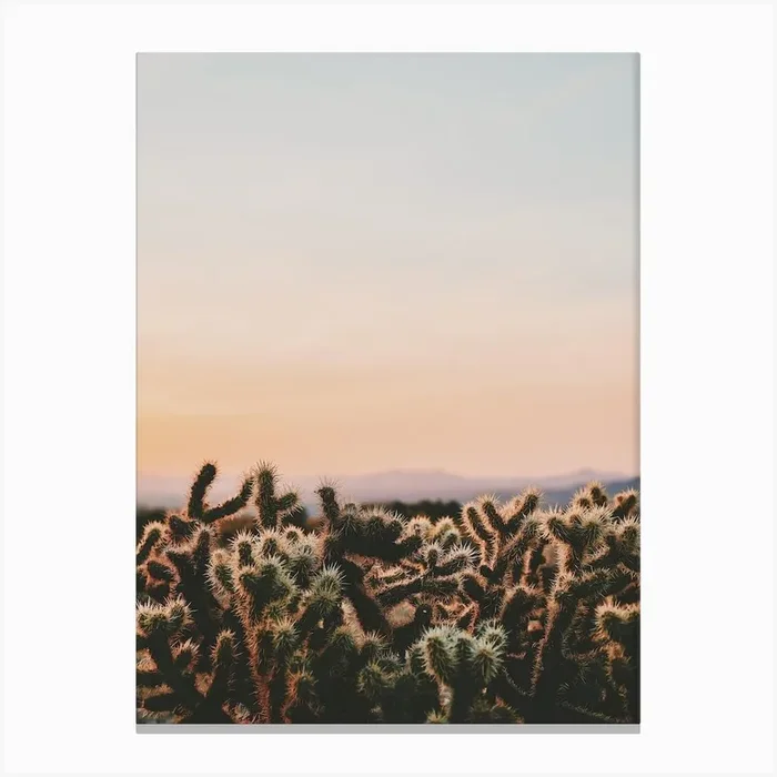 Cactus Sunset View Canvas PrintGS by Golden Saguaro