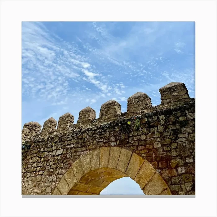 Castle Wall Canvas Print by the Limón