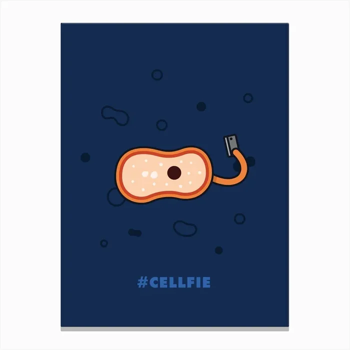 Cellfie Canvas Print by Jaco Haasbroek