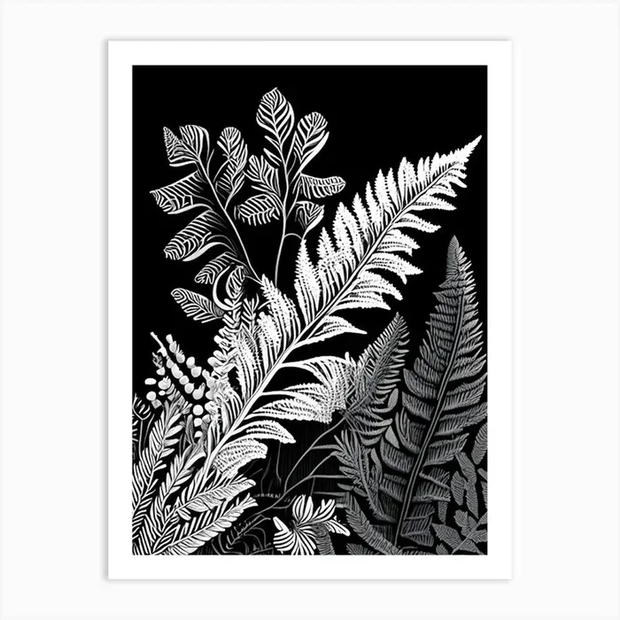 Christmas Fern Wildflower Linocut 1 Art PrintWS by Wildflower Studio