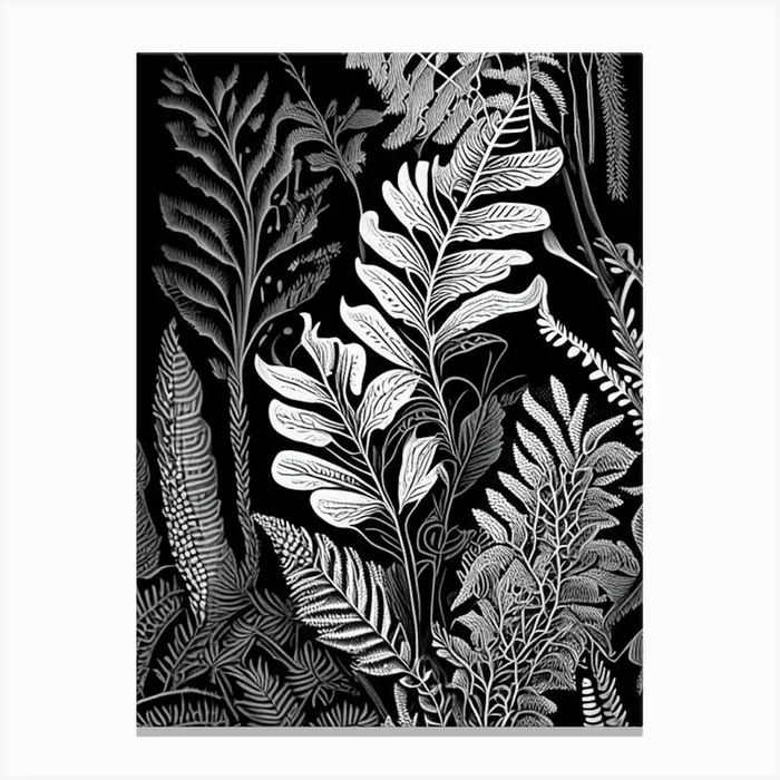 Cinnamon Fern Wildflower Linocut Canvas PrintWS by Wildflower Studio