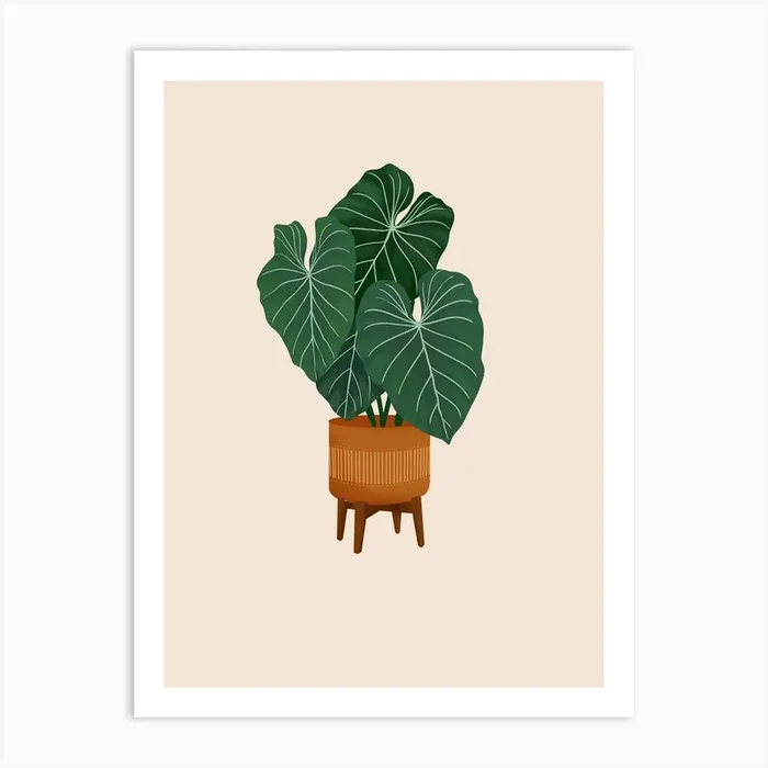 Colocasia Plant Art Print by Gush Art Studio