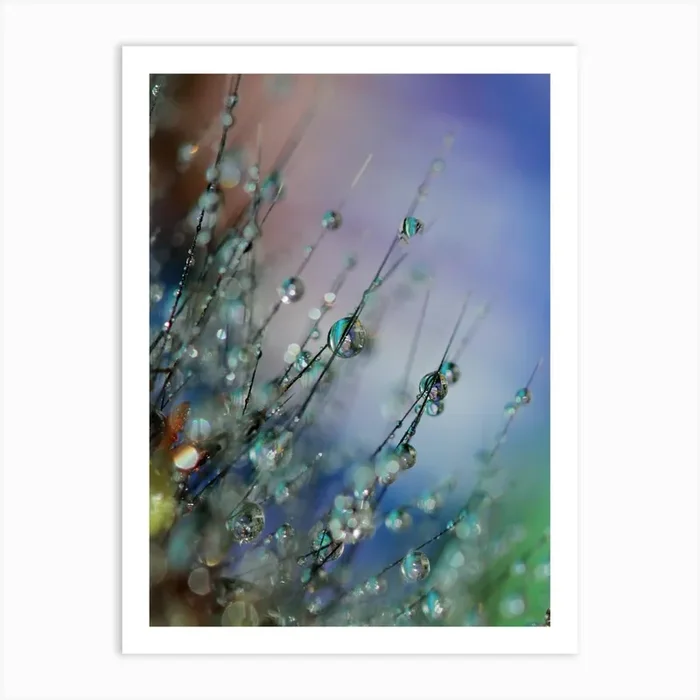 Dandelion 1 Art Print by Art shop