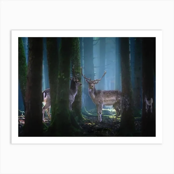 Deers Art Print by 1x