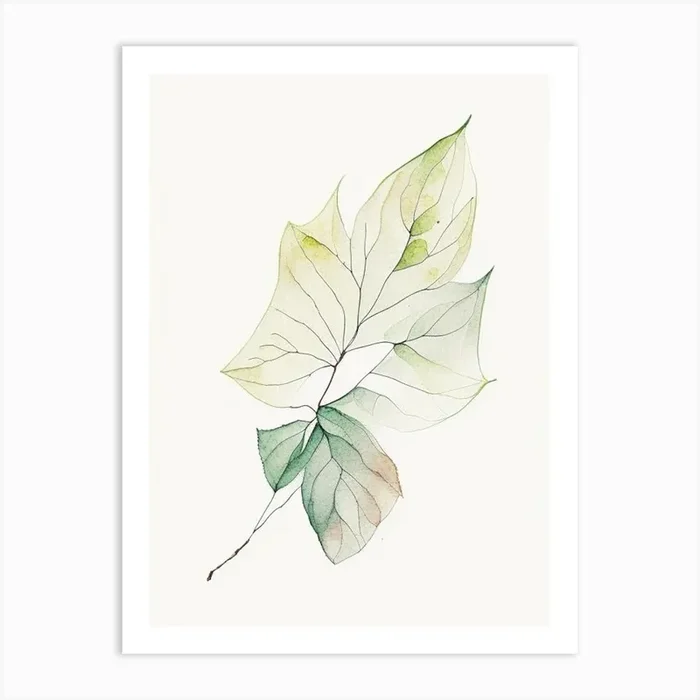 Dogwood Leaf Minimalist Watercolour Art PrintL& by Leaf & Stem Studio