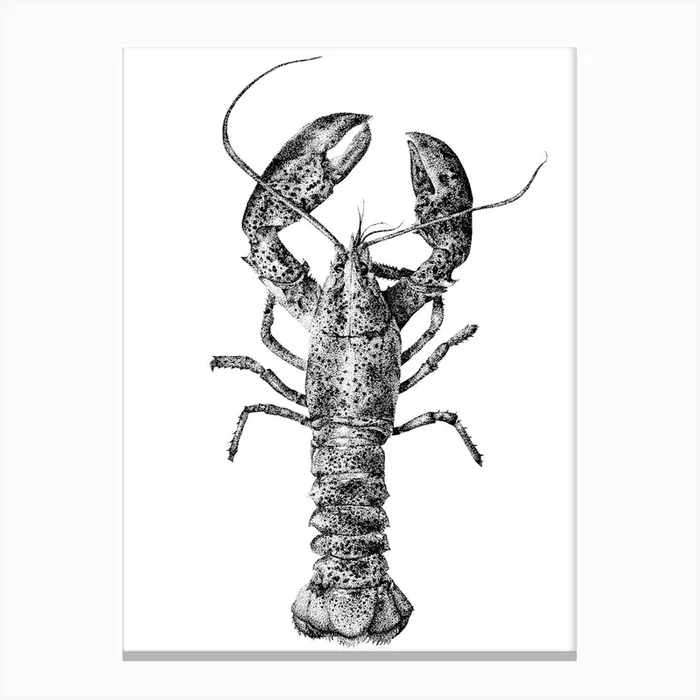 Dotwork Lobster Illustration Canvas Print by Lauren Thorley Illustration