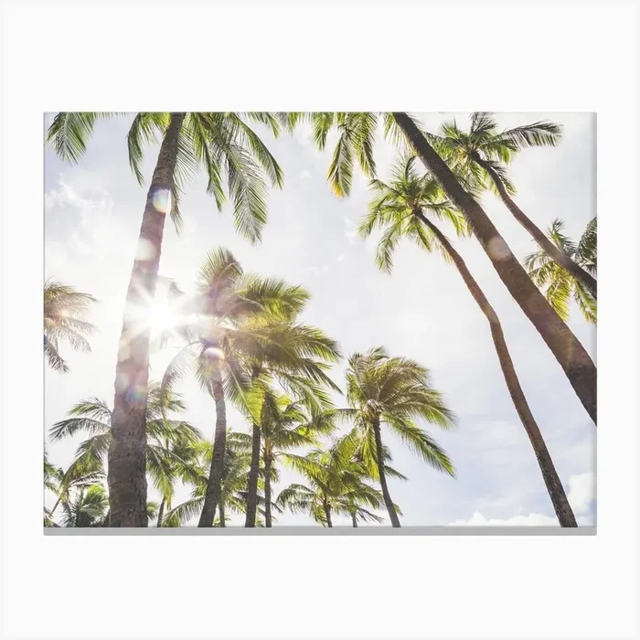 Dreamy Palms Canvas Print by Lindsey Erin