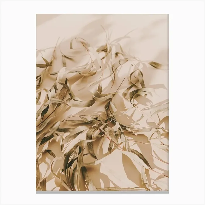 Dried Eucalyptus Leaves Canvas Print by Boheme At Home