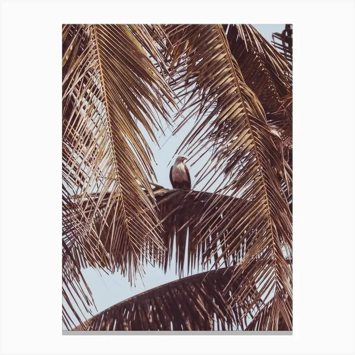 Eagle In Palm Tree Canvas Print by Victoria Frost