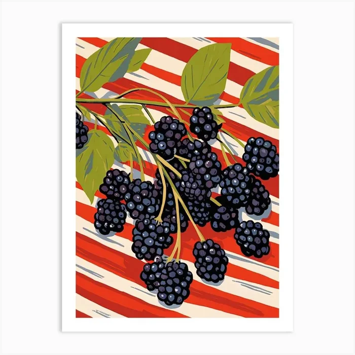 Elderberries Fruit Summer Illustration 3 Art Print by Dreamy Seasons Art
