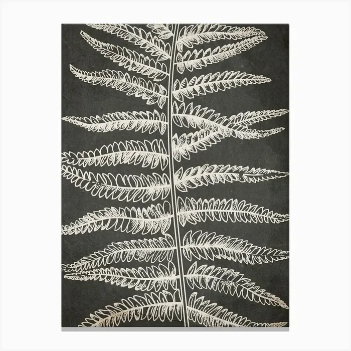 Fern Leaf Botanical 2 Canvas Print by Line2Form