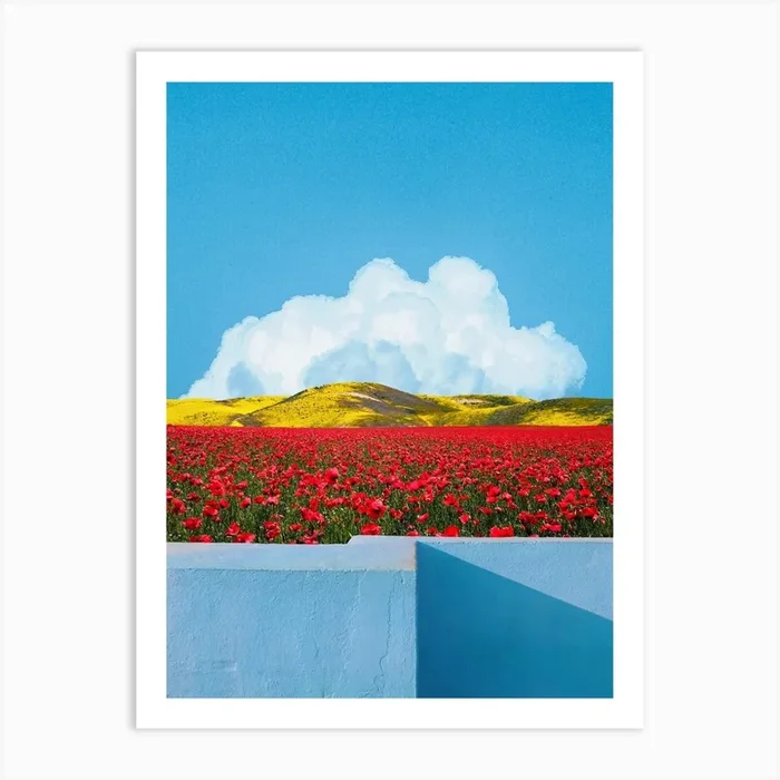 Field Art Print by Tom Fabia
