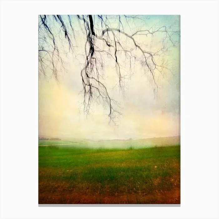 Flodden Field Northumberland Canvas Print by Paul J Bucknall
